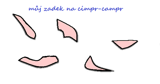 zadek-na-cimpr-campr.png